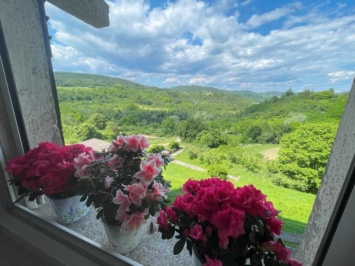 Apartment Kastel Pazin